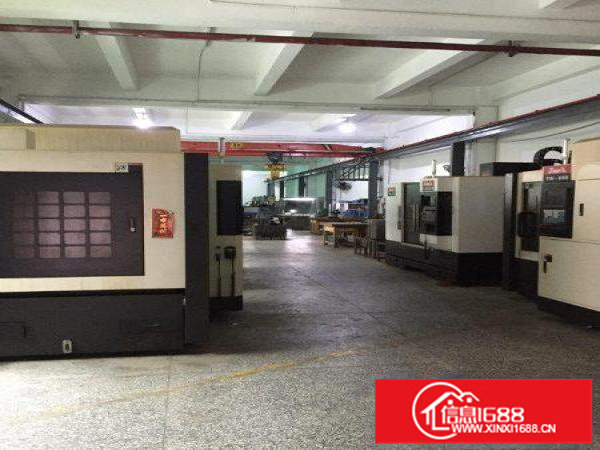 观澜观光路章阁厂房原无公摊1楼标准厂房1200平米