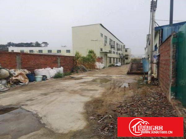 横沥新出独门独院1000平方，可以做各行各业，除了有排水