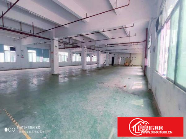 凤岗镇中心楼上1100平方，出租，现成办公室装修，带消防喷淋