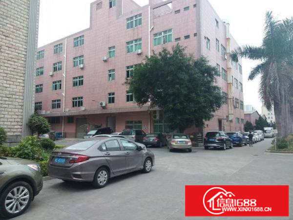 惠阳秋长带红本标准一楼300平