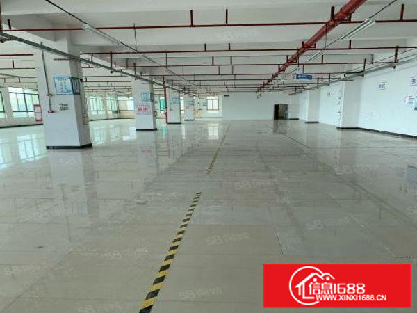 寮步镇区1600带办公装修整层出租