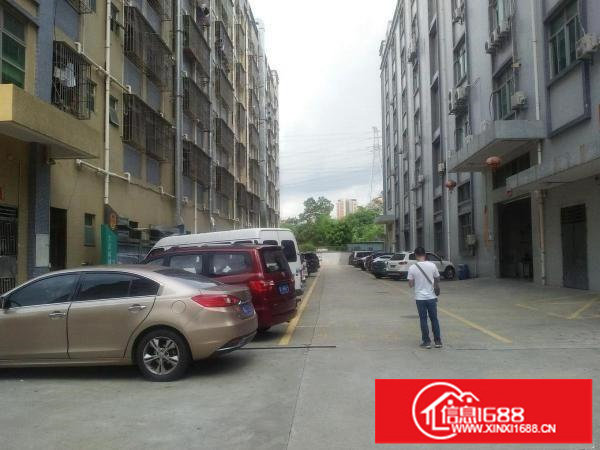 华宁路一楼2300装修直租