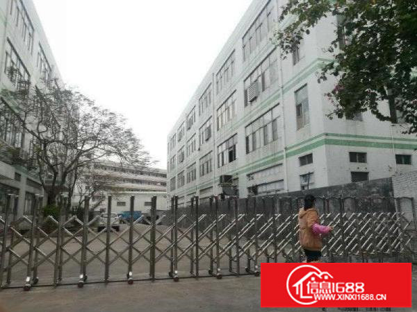 横岗大康横坪快线原房东精装修1400平楼上厂房