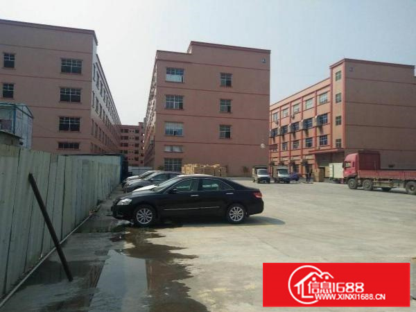 园洲原房东自建标准厂房，花园式独门独院，证件齐全