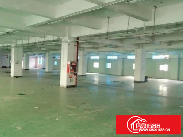 横岗安良1000厂房出租