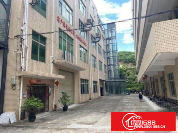 横岗沙荷路边花园式独院厂房9000平（可分租）