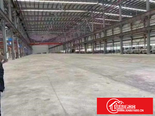 坪山原房东钢构招租，滴水21米，独立红本，合同10年！