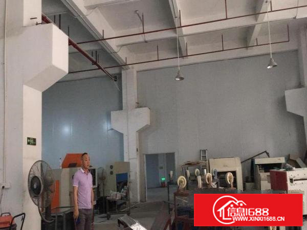 大洲一楼厂房1000方