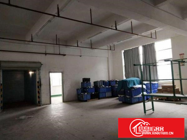 出租茶山镇原房东独院厂房