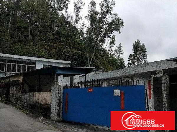 丹竹头横岗镇深坑村独院厂房1000平米