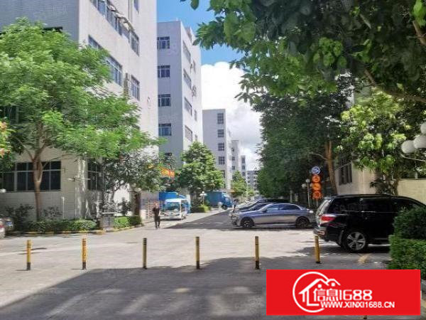 布吉上李朗地铁站原房东红本花园式700平方厂房出租可分租