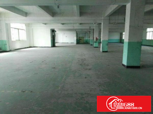福龙路出口新出200平300平5000平厂房仓库招租