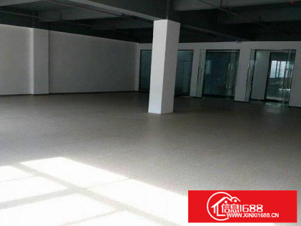 横岗原房东300平至1000平带装修厂房出租可分租