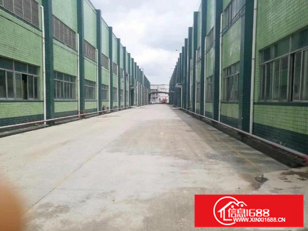 镇隆高田厂房32000平米