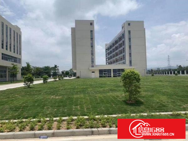 全新花园式厂房每栋9500平米形象好