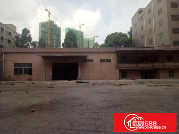 新墟2500平独院，可做污染，有红本