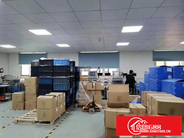 口罩产业福音！500平米豪华装修怀德工业区厂房出租