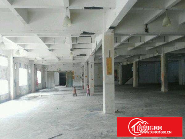 常平桥梓村标准厂房楼上3830平交通方便环境优美