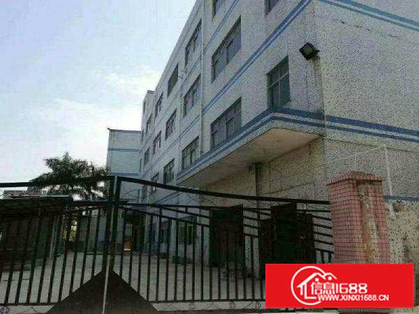 横岗西坑新出独院厂房6500平底价直租