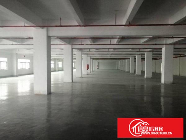 惠阳镇隆工业区厂房一楼1000平楼上500平带牛角