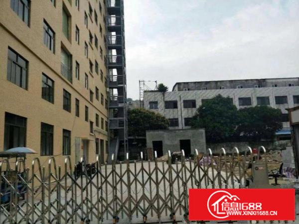 沙角新出一全新独栋厂房1000平方。可分租。