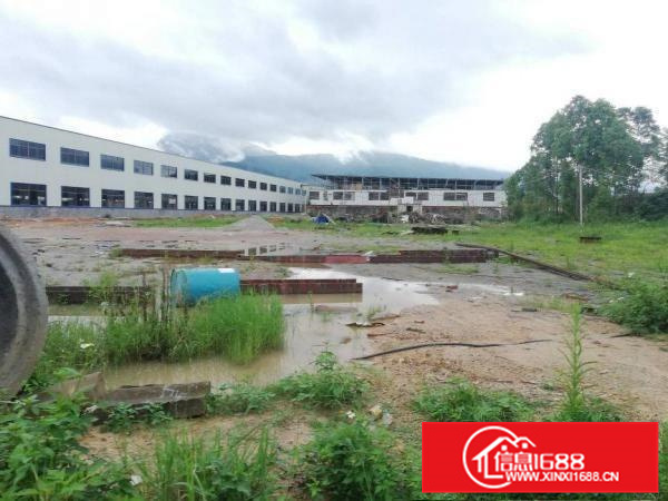 惠东稔山钢构厂房租10元厂房两万平空地一万可办环