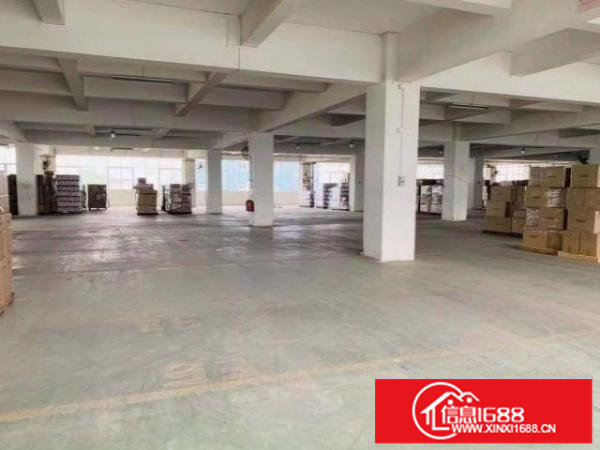 光明东坑村原房东出租一楼厂房1400平，证件齐全