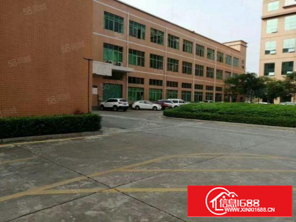 主干路边原房东独门独院标准三层厂房工业用地喷淋消防