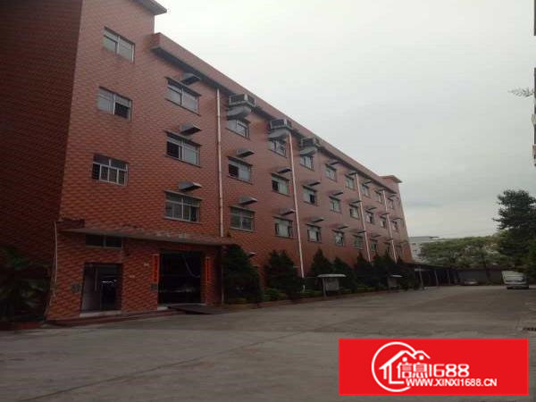 降价了，大朗原电子厂分租一二楼共计3200方，租15元带装修