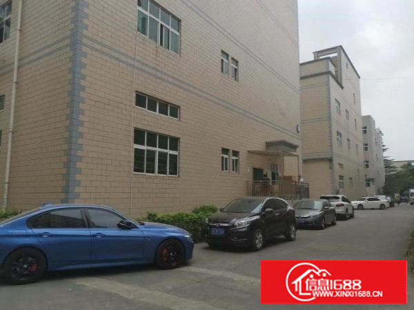 塘厦科苑城4000平标准独院厂房出租