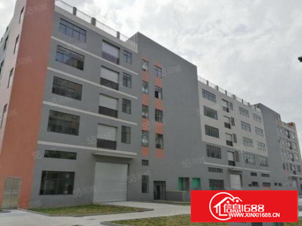 带有卸货台，独栋，顺德杏坛25000平方标准厂房出租