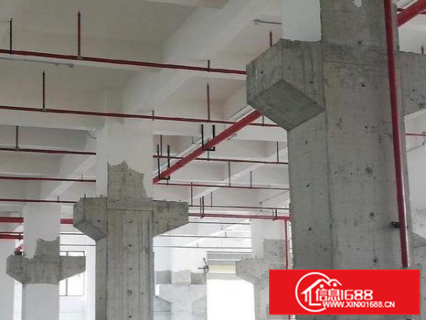 厚大路独院厂房1200平米