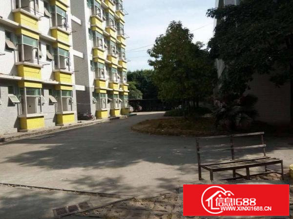 平湖新出独门独院17000平米厂房出租