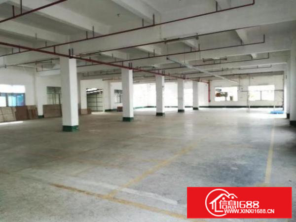 凤岗官井头嘉辉附近一楼厂房出租1500平方近大运城邦