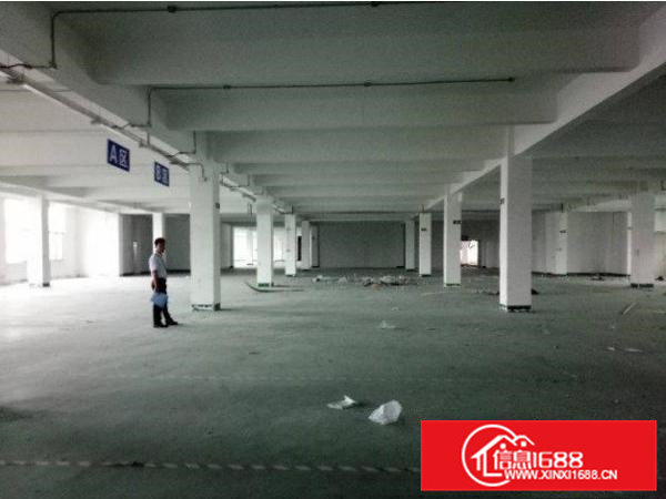 横沥田饶步村一楼标准1000平方厂房适合多种行业