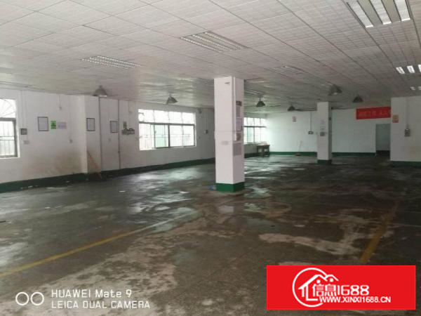 碧岭金碧路边厂房2700平米带前台可分租，办公室精装