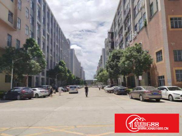 西乡，黄田，大型花园式工业区，楼上整层3600平，带消防喷淋