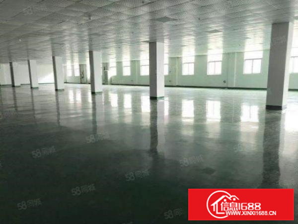 清溪镇新出标准厂房3900平方带消防喷淋和现成装修电池优先