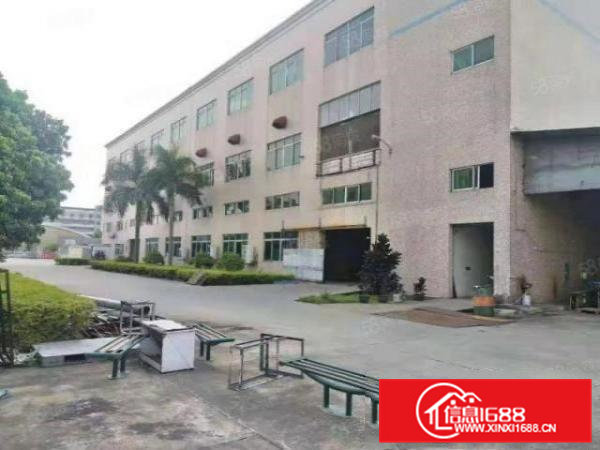 原房东超大空地首层高度6.5米独门独院出租