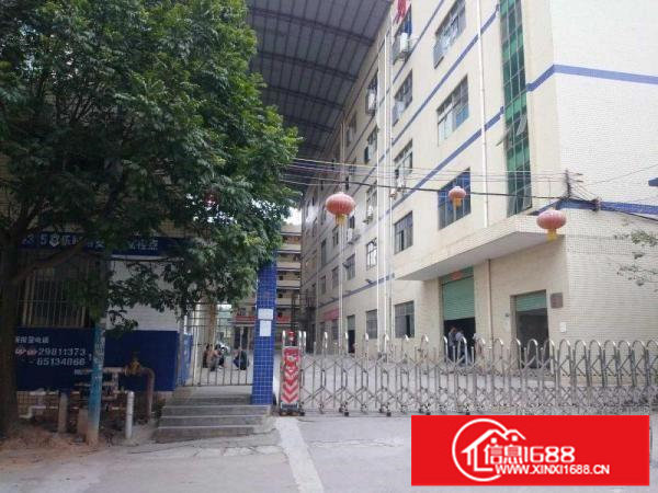 坂田上雪科技园一楼厂房450平米