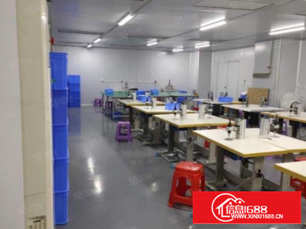 西乡新出700平厂房中心位置交通方便，业主急租