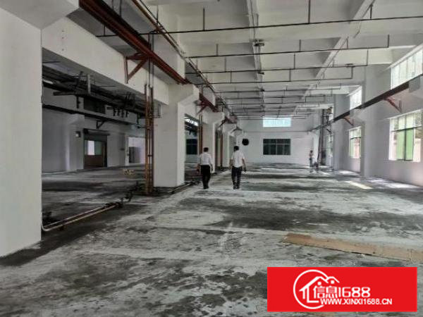 东莞凤岗竹塘村原房东一楼2000平，适合五金不锈钢材等等均可