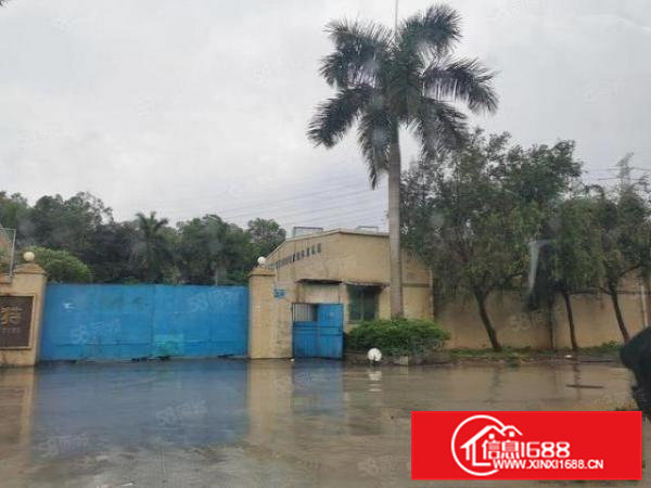 企石镇独院全新钢构850平方高度8米带牛角位带隔热空地超大