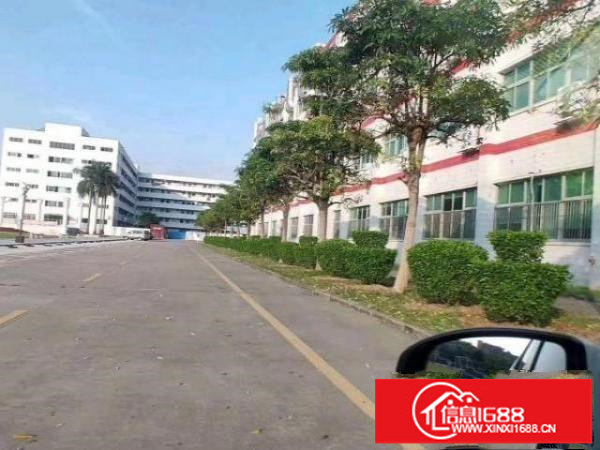 龙岗爱联嶂背原房东厂房