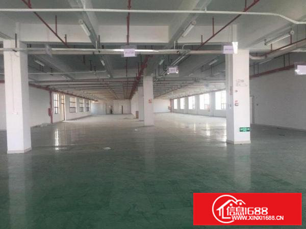 五联工业区楼上1800平出租