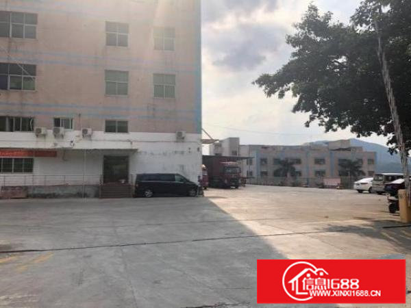 临近盐田港西坑专业物流仓大小分租