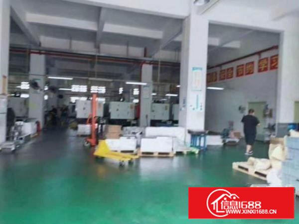 沙井新桥107国道村委无公摊2400平米独院厂房出租