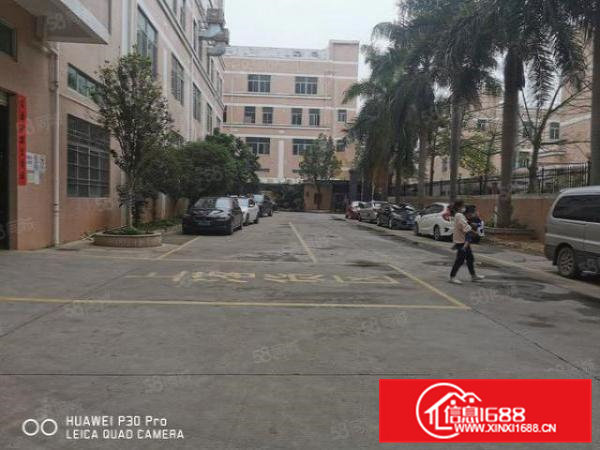 凤岗雁田带装修一楼900平出租