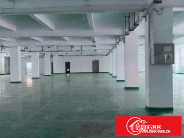 观光路8000平原房东带部分无尘车间办公室花园厂房带宿舍出租