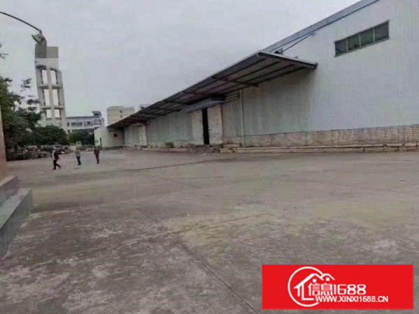 丹竹头8000平米滴水8米钢构厂房出租（可分租）